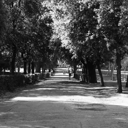 Priscilla Hotell Rom